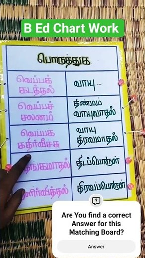 B Ed Chart Work & Record Note Writing Available #saree #cholavamsam #sareedraping #sareepreparation