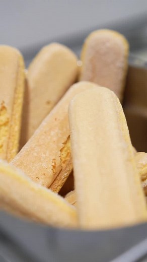 Unser Signature 🤩 | Doloopz