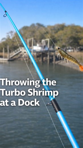 Throwing the turbo shrimp at a dock