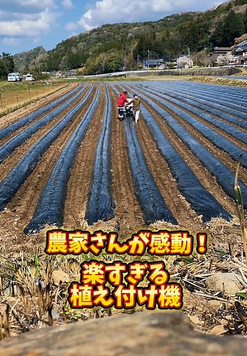 最新移植機でサトイモの植え付け実演