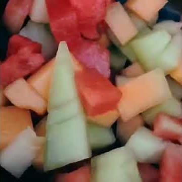 What to Feed Toucans and Parrots | Diet