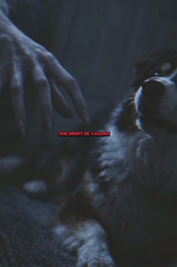 The Dog Knew the Bride Was Dead… But She Came Back 😨 #ghostbride #DarkHorror #dogpov