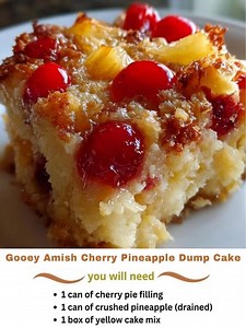 Gooey Amish Cherry Pineapple Dump Cake Ingredients 1 can (21 oz) cherry pie filling 1 can (20 oz) crushed pineapple, drained 1 box (15.25 oz) yellow cake mix 1/2 cup (1 stick) unsalted butter, melted .... | Mom's Cozy Kitchen