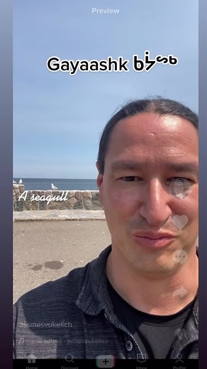 How do you say seagull in Ojibwe? #Ojibwewordoftheday #ojibwe #nativeamerican #americanindian #nativelanguage | James Vukelich