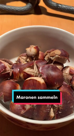 Growing Exotic Fruit: A Guide to Harvesting and Enjoying Maronen