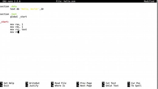 [英语字幕]NASM linux 汇编语言-1 x86_64 Linux Assembly #1 - 'Hello, World!'