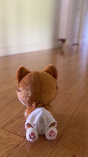 thank you SO much to everyone who purchased a Baby Bean plush to help celebrate Bean's birthday! we have hit the minimum order requirement of 200… can we make it to 400 before the campaign ends? 🍼🐈 #cats #catplush #beautynthebean #makeship #catdad #catlovers | Beauty and the Bean