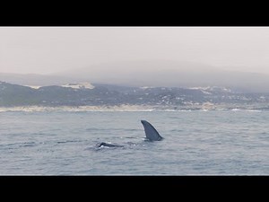 Exploring Walker Bay