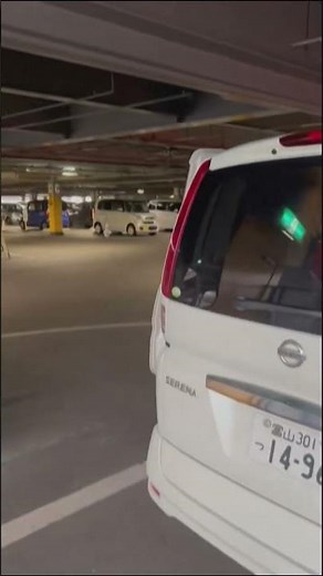 UGC: Cars shake as powerful earthquake hits central Japan