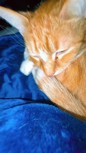 #fyppppppppppppppppppppppp #fyppp #fypシ゚viral #fyppppppppppppppppppppppp #fyppppppppppppppppppppppp