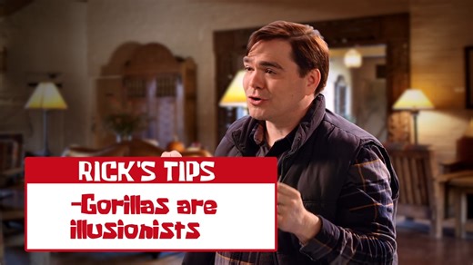 SpongeBob.DocuPants.S01E07.When.Sea.Creatures.Attack