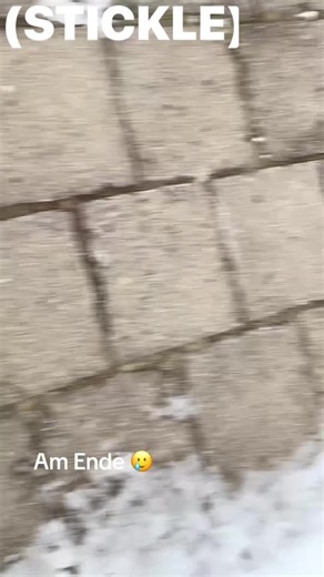 Leo🇪🇸🇩🇪😜 (@roblox_leo20250)’s videos with Originalton - 🦖😍Mia🦖😍