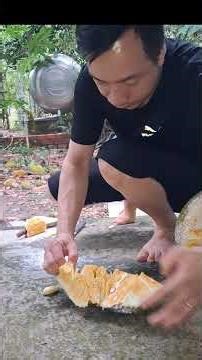 mít chín thơm quá. ngon lắm cả nhà ơi. #xaykenh ##manhcuongmt