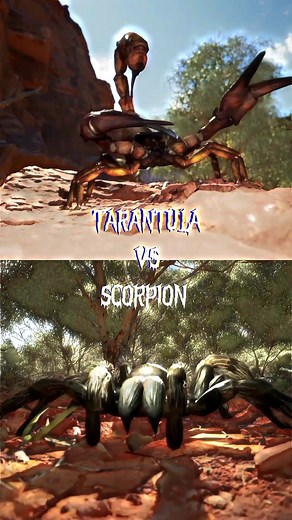 Tarantula vs Scorpion: Epic Battle of Insects