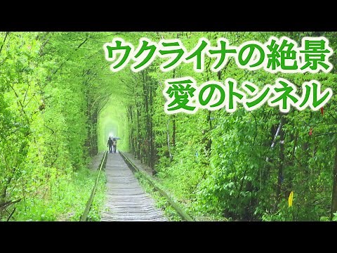 -4K-クレヴァニ、絶景、愛のトンネル(ウクライナ旅行、観光)-Clevani, Tunnel of Love, Ukraine-
