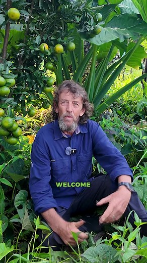 15K views · 360 reactions | Join Geoff for a journey into...