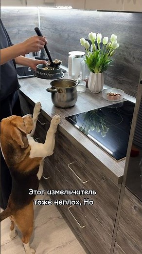 Измельчитель пищевых отходов 🔥🔥