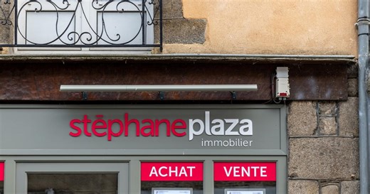 Stéphane Plaza: la franchise condamnée à indemniser une agence immobilière pour perte de réputation
