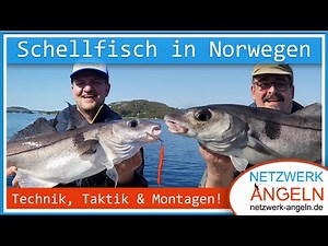 Fishing in Norway: Haddock - Technique, Tactics & Rigs at Imarsund