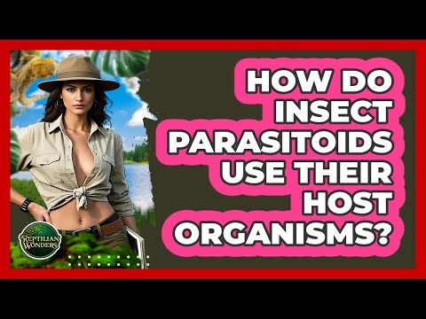 How Do Insect Parasitoids Use Their Host Organisms? - Reptilian Wonders