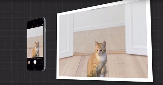 This is How the iPhone's Portrait Mode 'Fakes' Bokeh