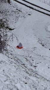 Josh-Emily Bowman on Reels