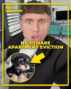 725K views · 4.6K reactions | We spent over £15,000 on a pet-friendly flat that doesn't allow dogs... | The Tradesman | Facebook