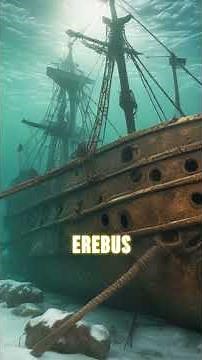 The Mysterious Disappearance of the HMS Terror