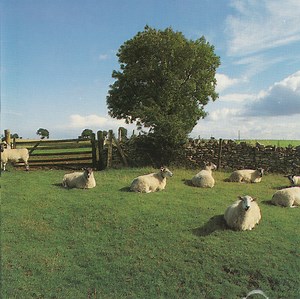 The KLF - Chill Out