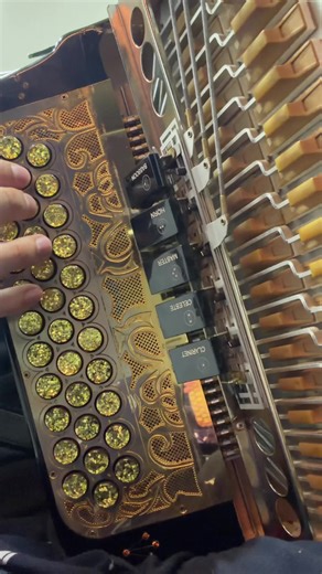 Para poder llegar a ti #acordeon #VoiceEffects | Mini Acordeon