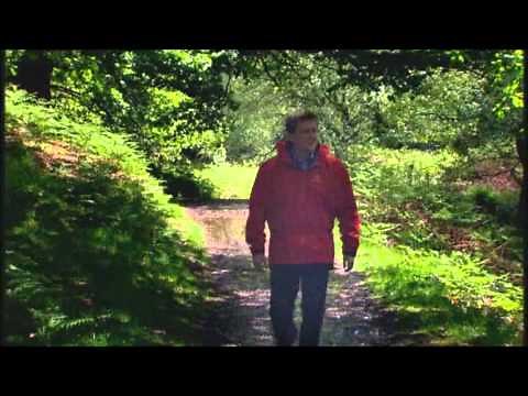 Be still for the presence of the Lord - Aled Jones