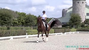 Grand Prix competitor AnnA Buffini demonstrates riding a square on two horses. With a lower-level horse, the focus is on straight lines and bending through the turns, which helps teach the horse how to balance back, how to turn and how to go forward off both legs. With an upper-level horse, the exercise is actually a quarter pirouette, which helps with collection and straightness. Join Dressage Today OnDemand to start learning today! | Dressage Today | Facebook