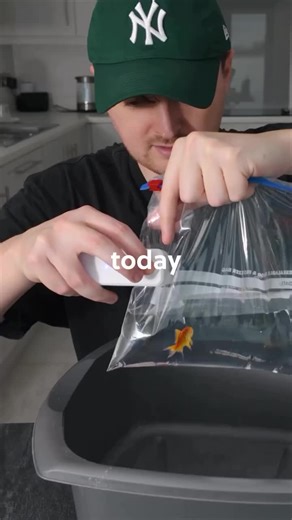 Today I am Testing World's Weirdest Product #product #science #scienceexperiment #products #explaination