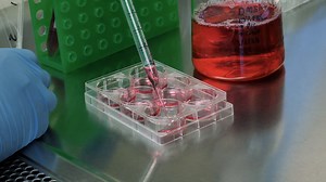 作者聚焦:整合基于 BRET 的检测和罕见突变分析以破译活细胞中的 RAF 激酶调控