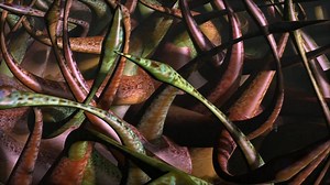 3D, Move, Movie. Free Stock Video