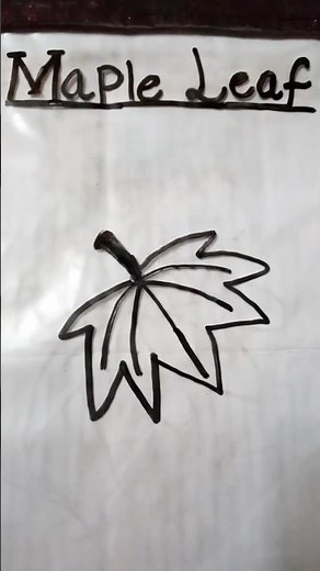 How To Draw A Maple Leaf | Easy Step By Step Drawing Tutorial 🍁#viral #mapleleafs #viralvideo #yt