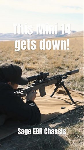 Anyone that says the mini 14 can’t get down is wrong