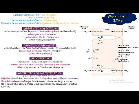 Absorption of IONS. Chapter 66 (part 5). Guyton and Hall Physiology.