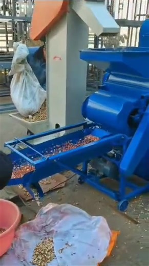 154K views · 1.4K reactions | Peanut sheller machine with automatic feeding elevator WhatsApp: +8613105231190 +92 302 719 4973 Email: malik@zgglory.com | Malik Arif | Facebook