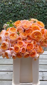 5.6K views · 29 reactions | Peter van Delft on Reels | Facebook