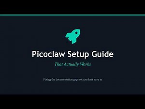 How to Setup PicoClaw (Open Claw Killer?) on a VPS