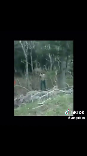 Alleged Skinwalkers Disguised as Animals Caught on Camera