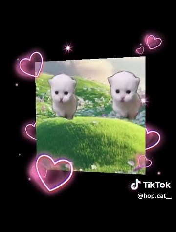 Hop_cat on TikTok