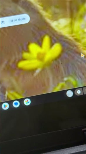 How to get Moving wallpaper