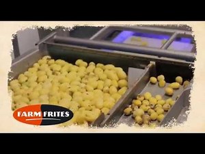 From Field to Fork, Producing fries in Oudenhoorn, Farm Frites