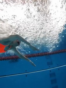 224K views · 3.7K reactions | Some morning butterfly 掠 | Swimming Fanatic | Facebook