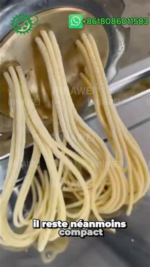 Machine à fabriquer des pâtes et des nouilles | Machine de découpe pour la fabrication de nouilles