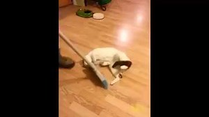 10K views · 181 reactions | :))) | Radio Hot Style | Facebook