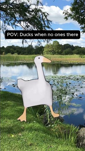 Dancing Duck Goes Viral! 🦆😂 | Funniest Meme #shortsviral #MemeShorts