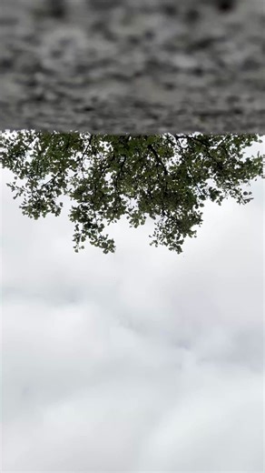 Les bons plans n’attendent pas. Des marques iconiques à prix doux, dispo dès maintenant sur l’app Showroomprivé. 👀🔥 https://showroomprive.onelink.me/oDb7/lywoceex | Showroomprive